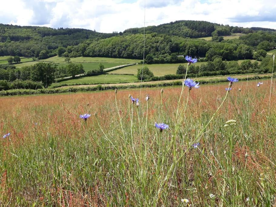Le Studio Du Crot Noir Cussy-en-Morvan Bagian luar foto